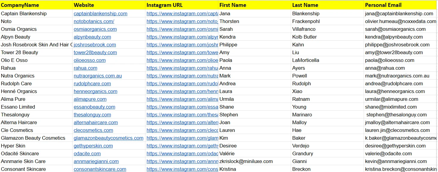 Influencer Research Data Sheet